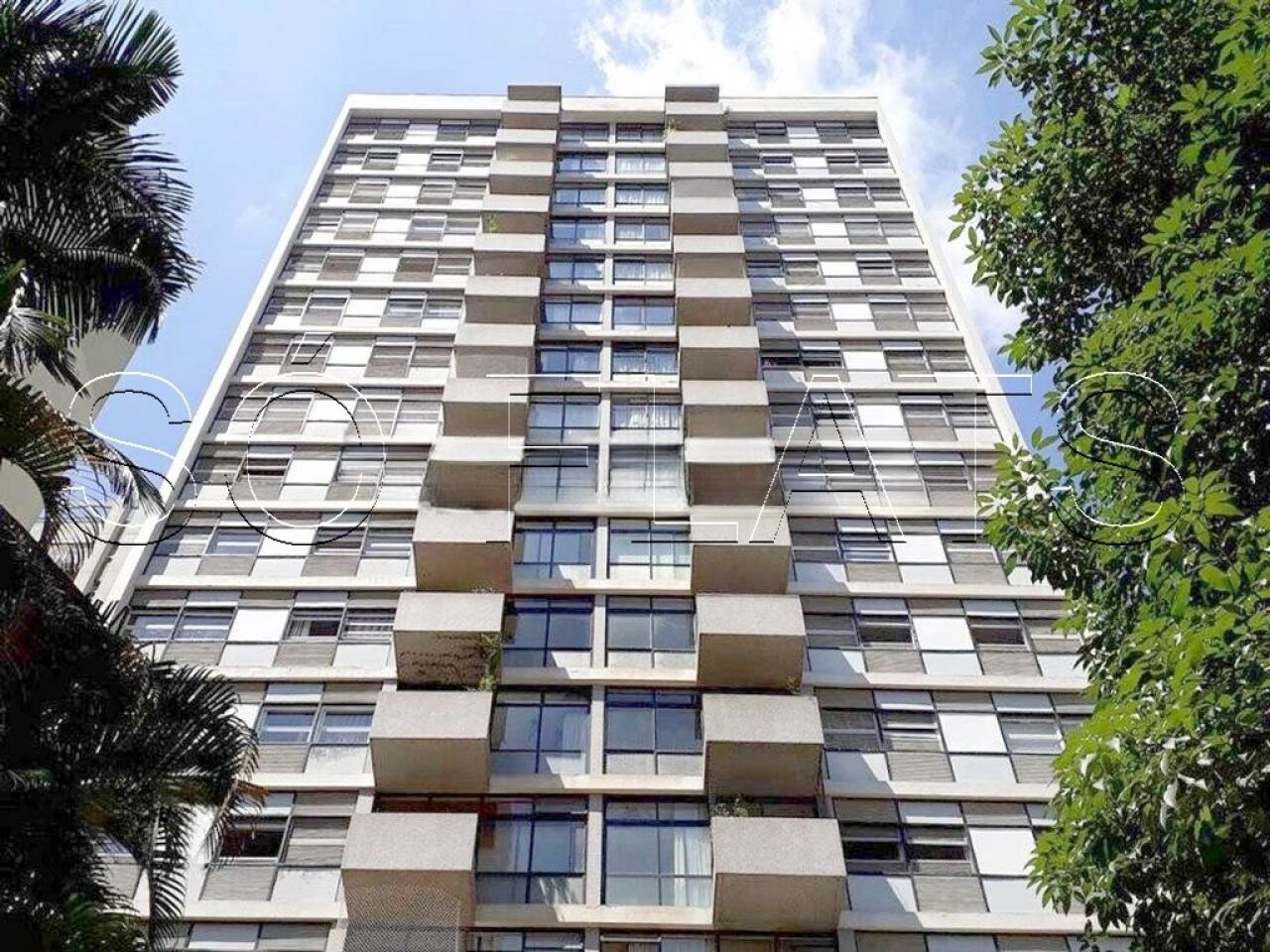 Foto 14