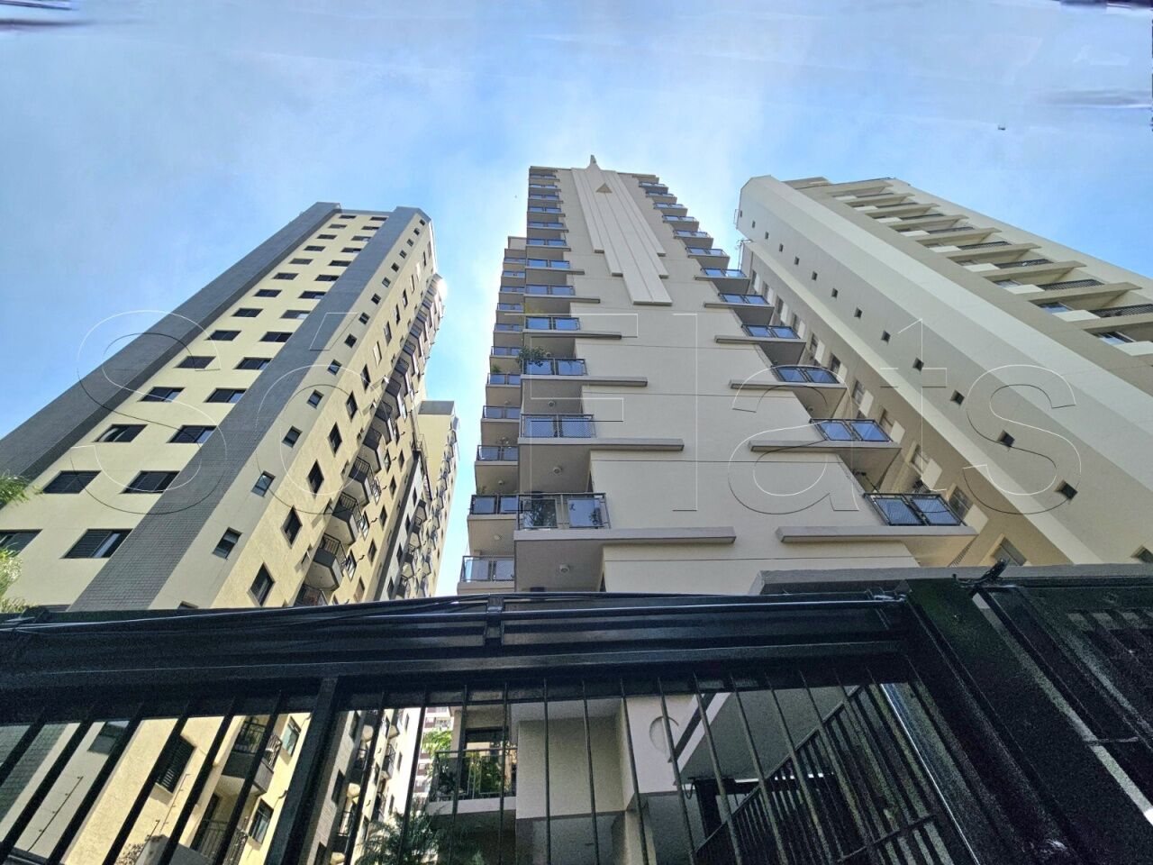 Foto 31