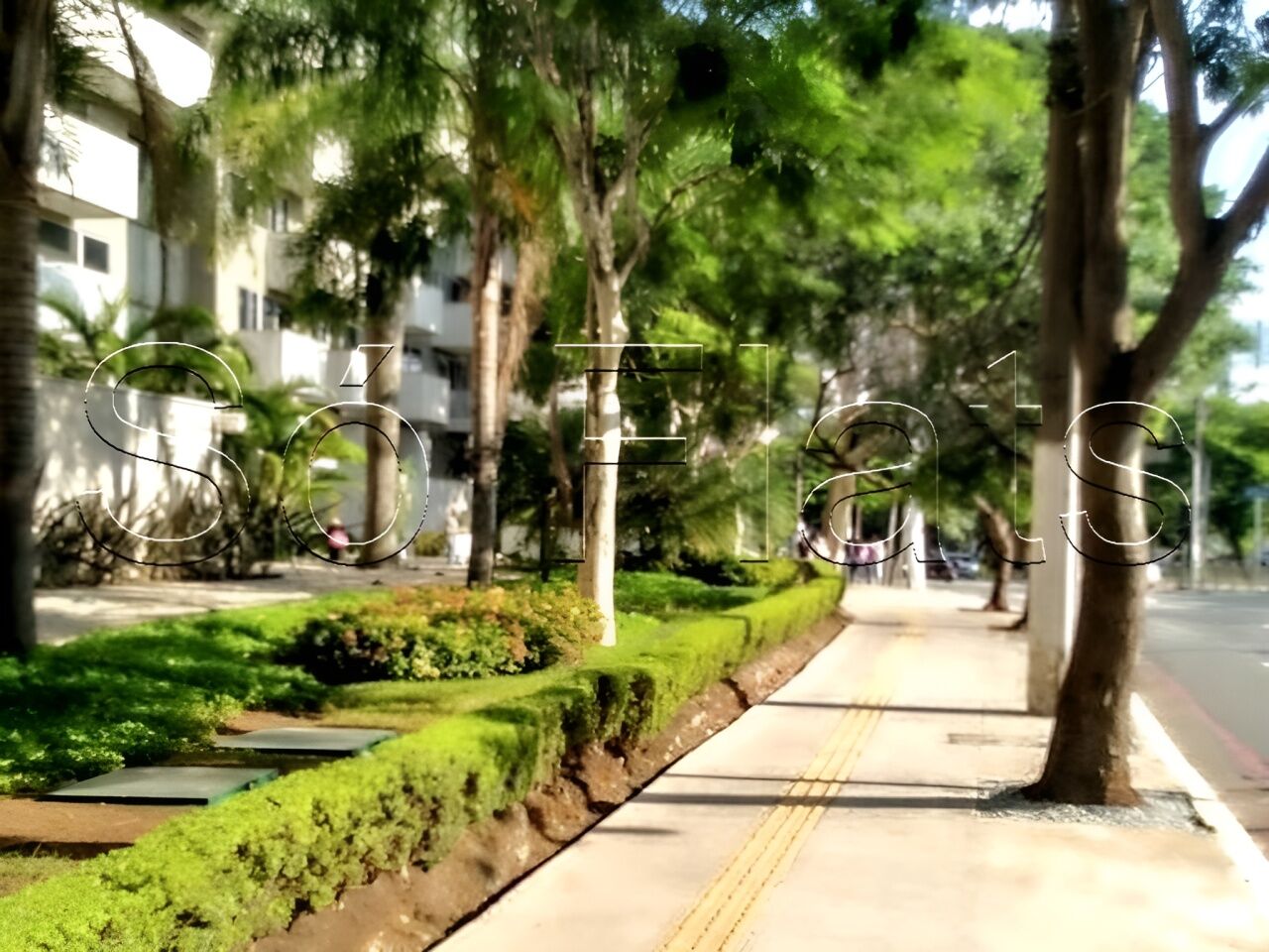 Foto 11