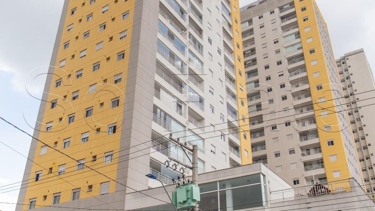 Foto 40