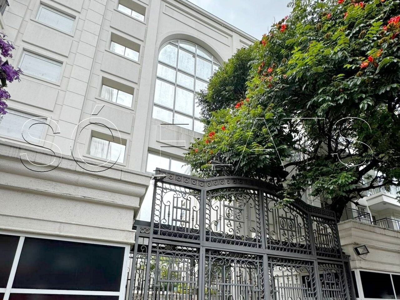 Foto 11