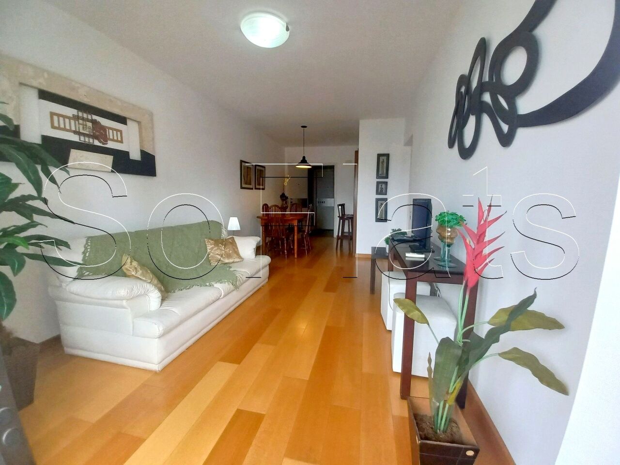 Foto 1