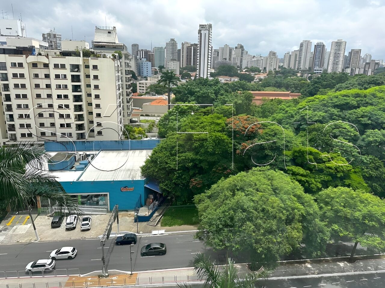 Foto 10