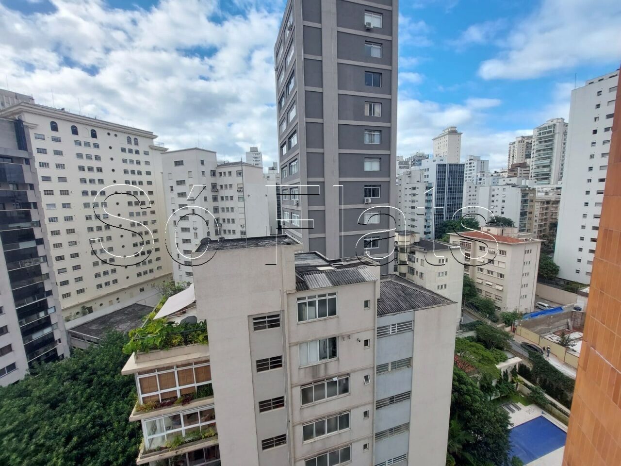 Foto 19