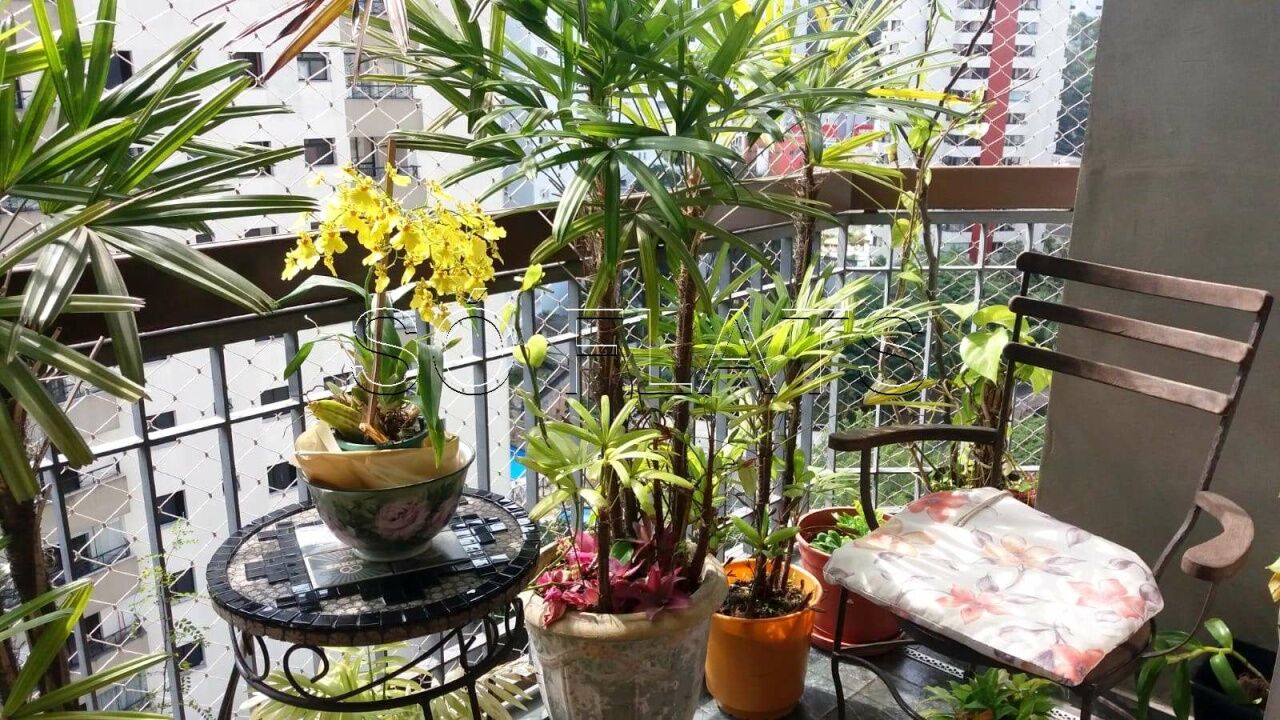 Foto 10