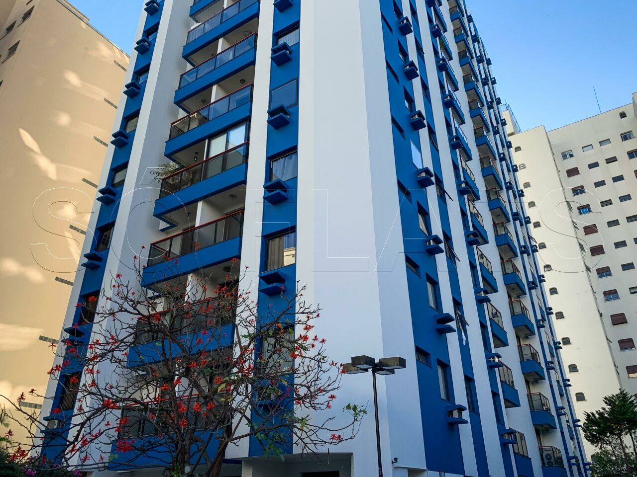 Foto 18
