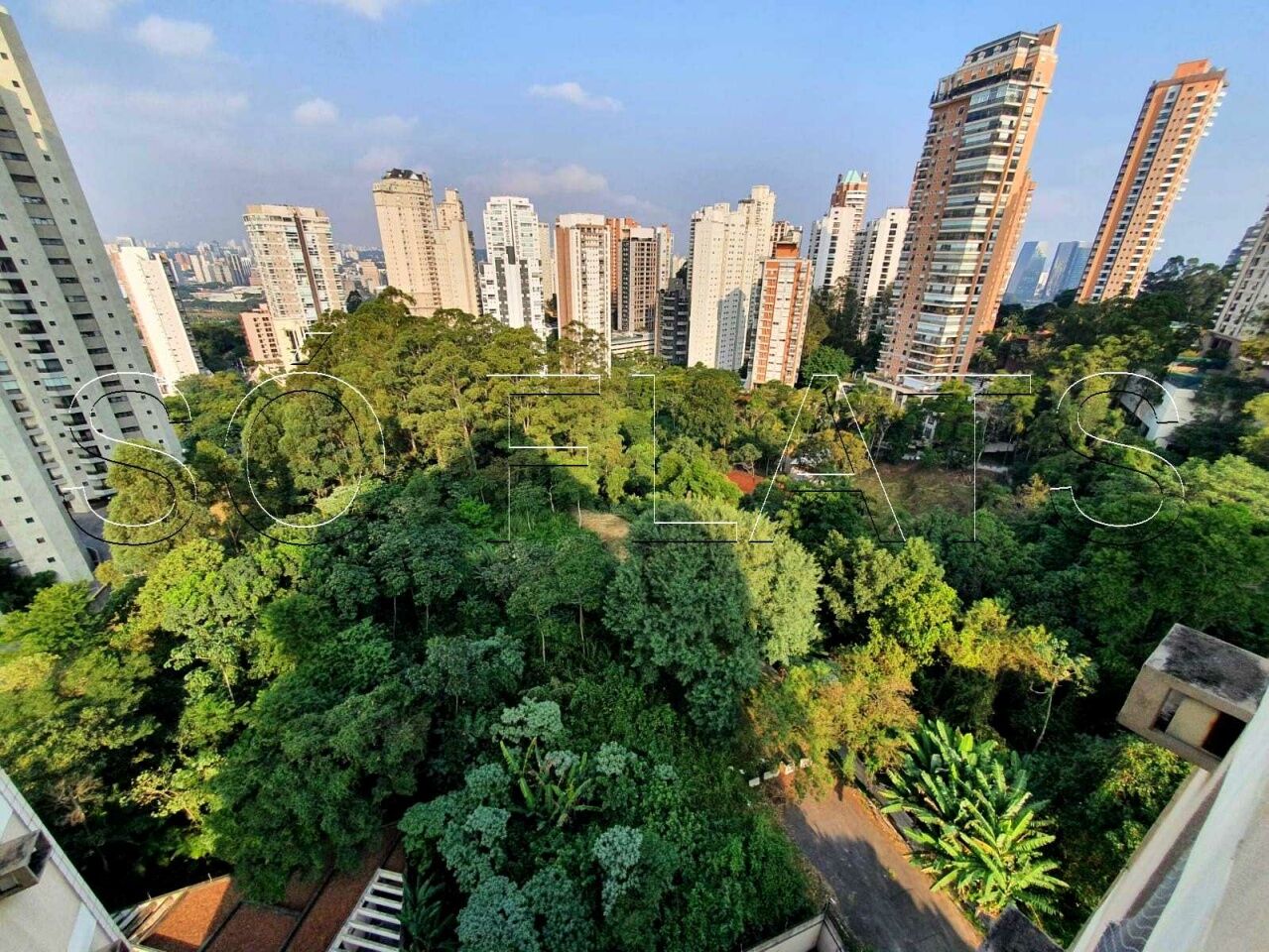Foto 12
