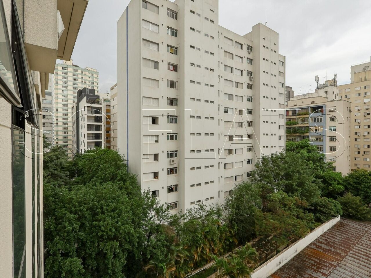 Foto 21