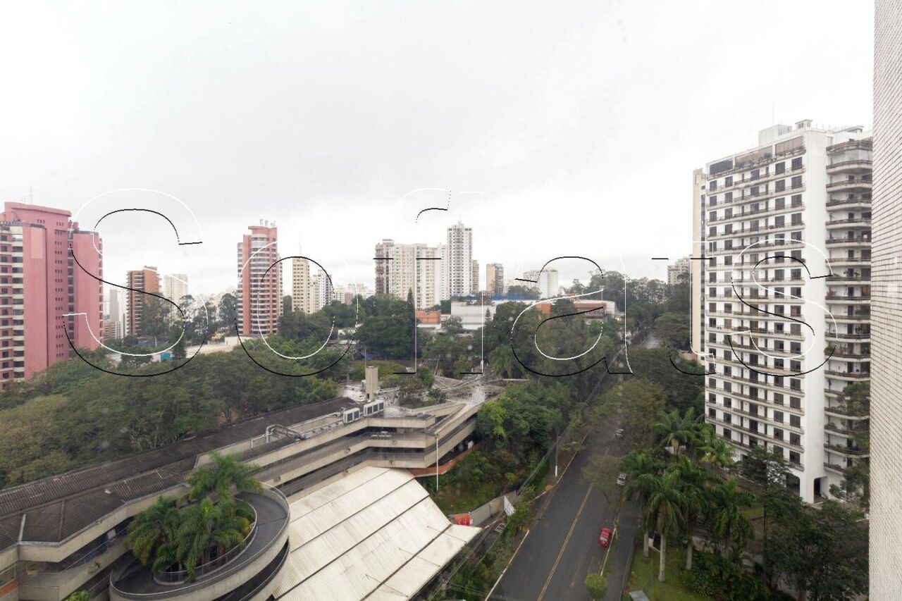 Foto 6