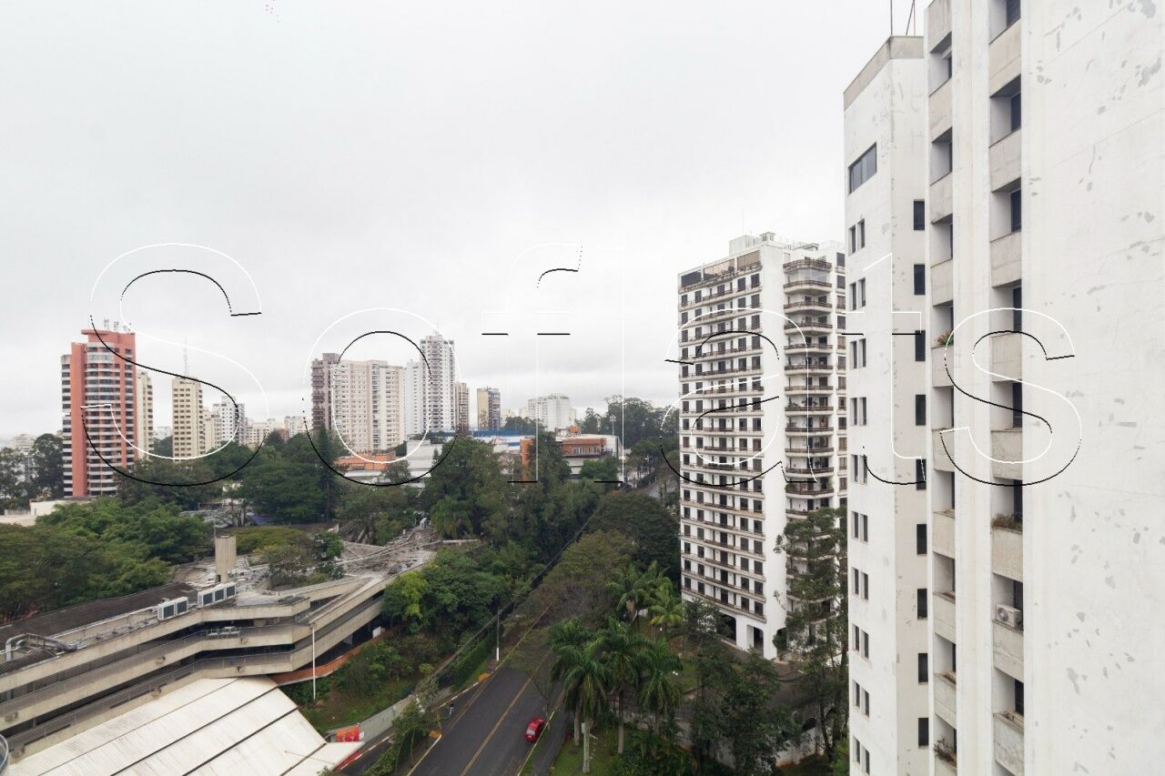 Foto 10