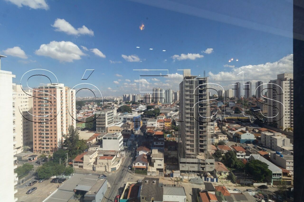 Foto 9