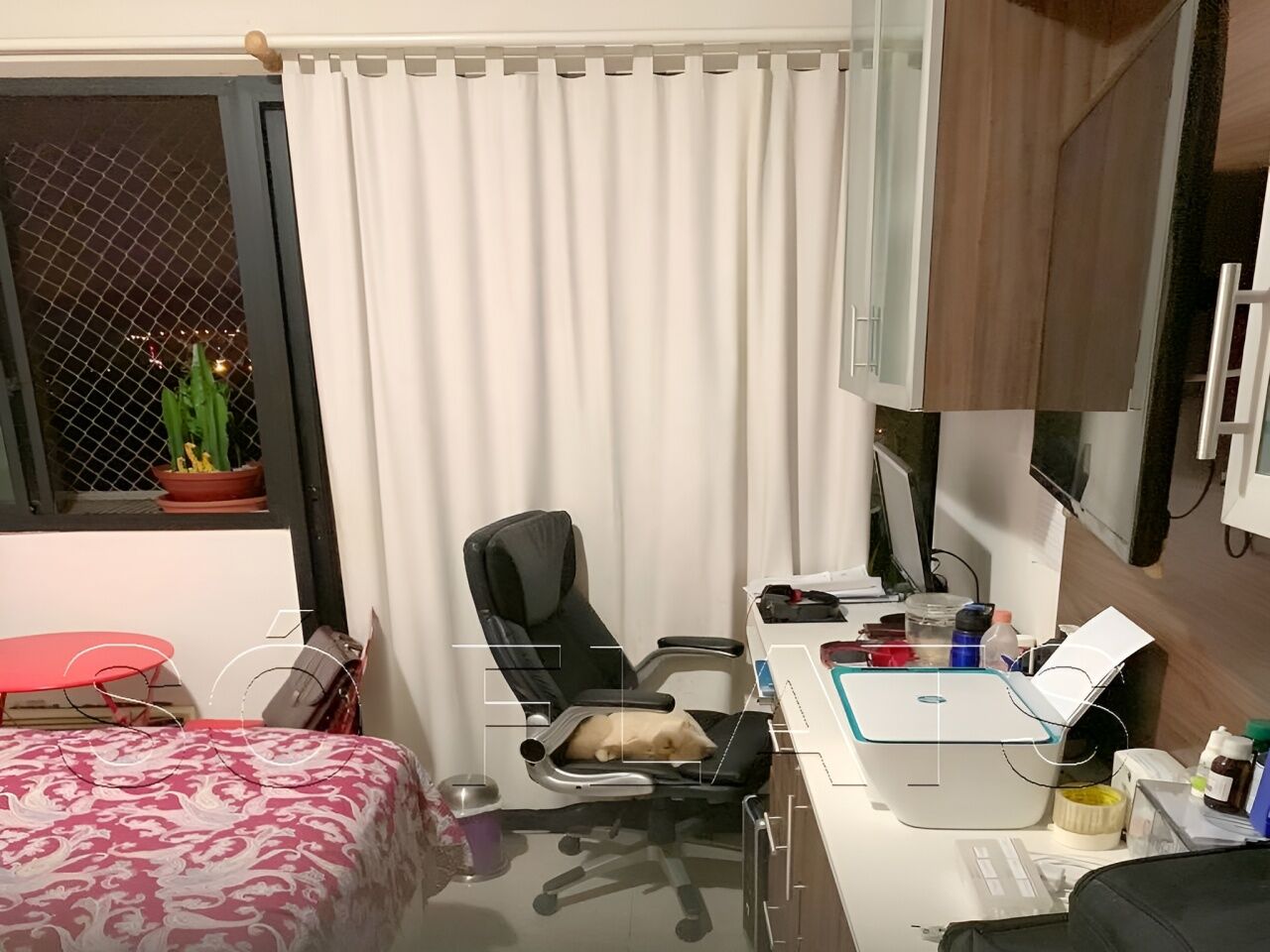 Foto 5