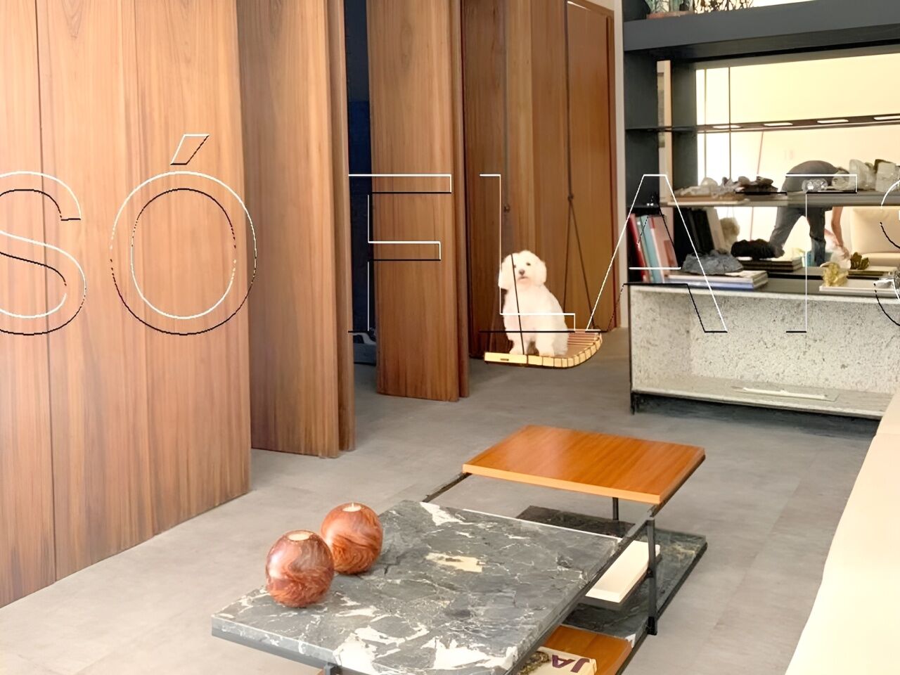 Foto 6