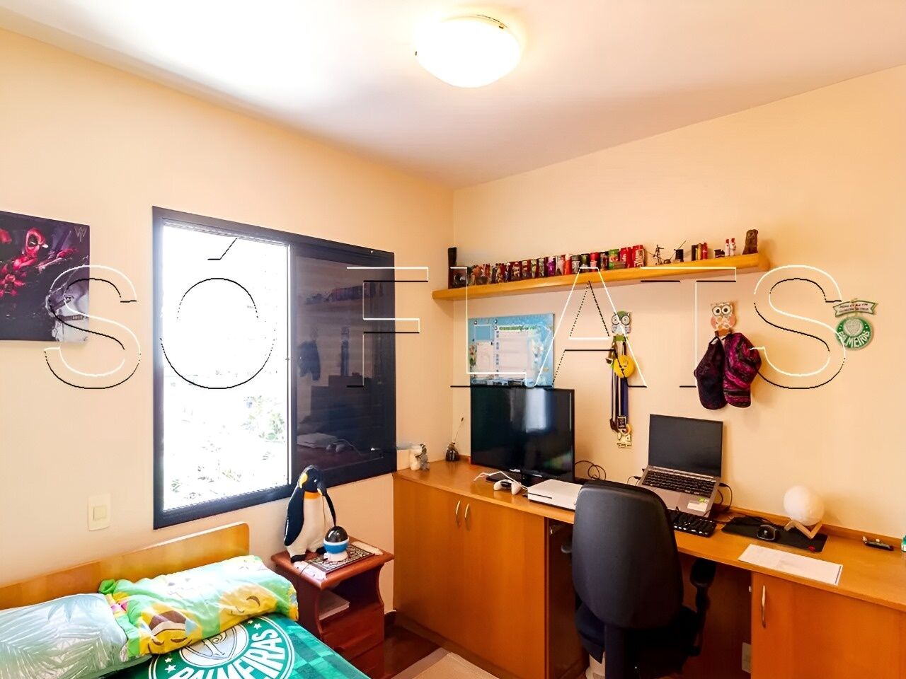 Foto 24