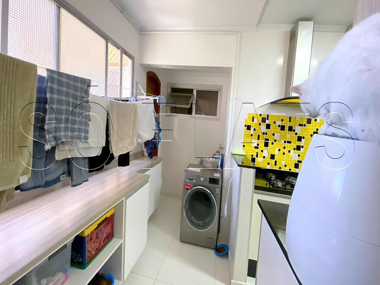 Foto 7