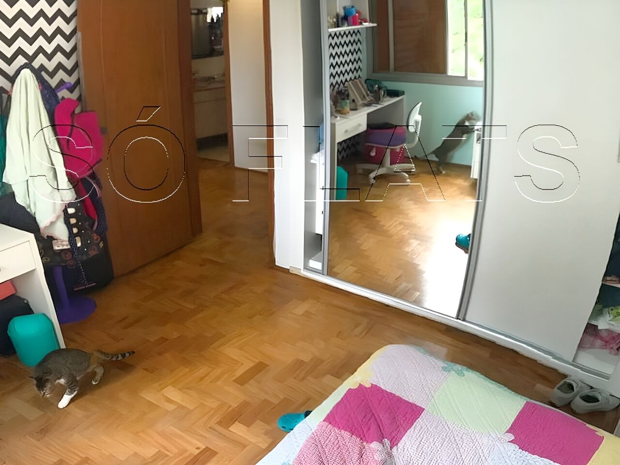 Foto 11