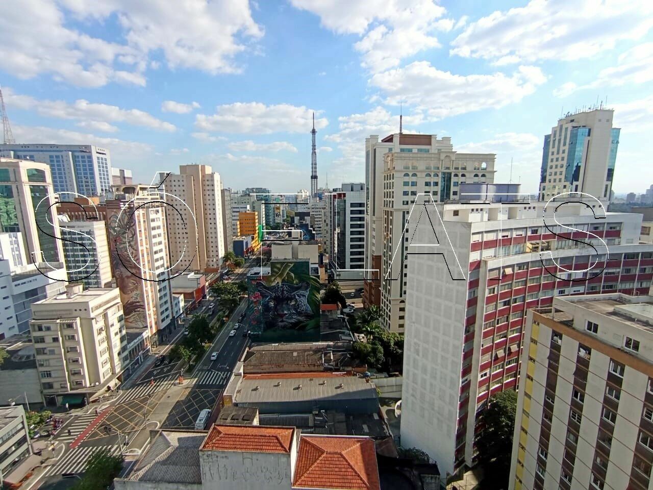 Foto 10