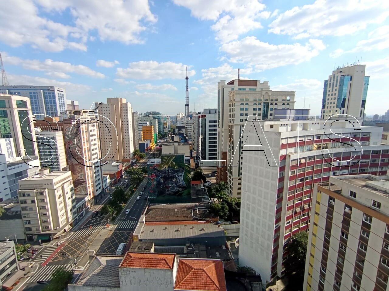 Foto 10