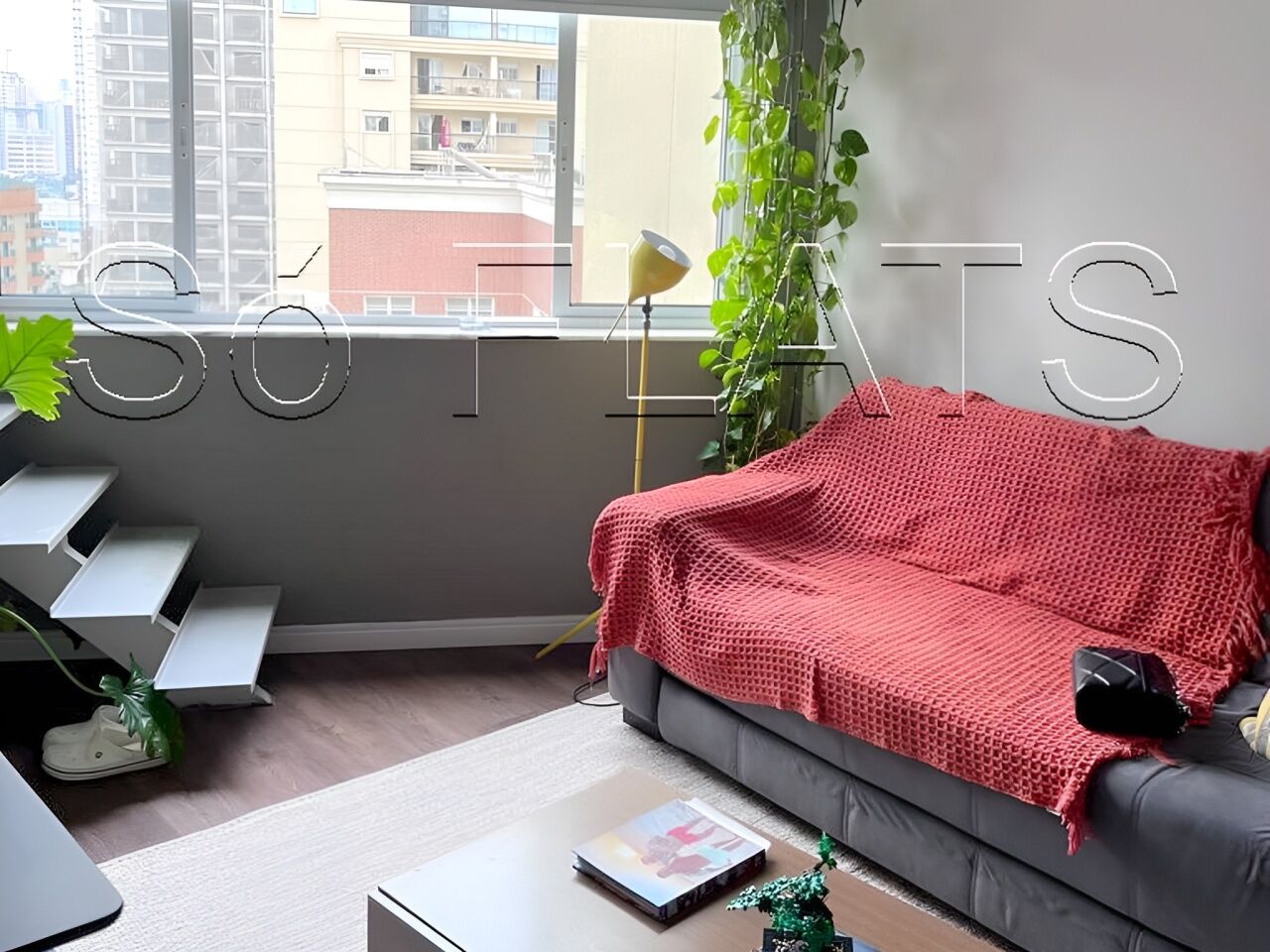 Foto 1
