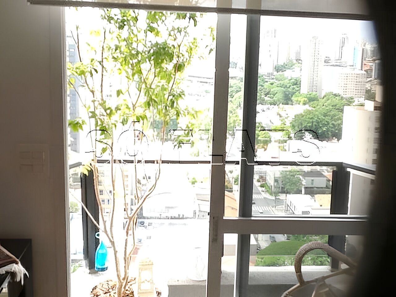 Foto 10