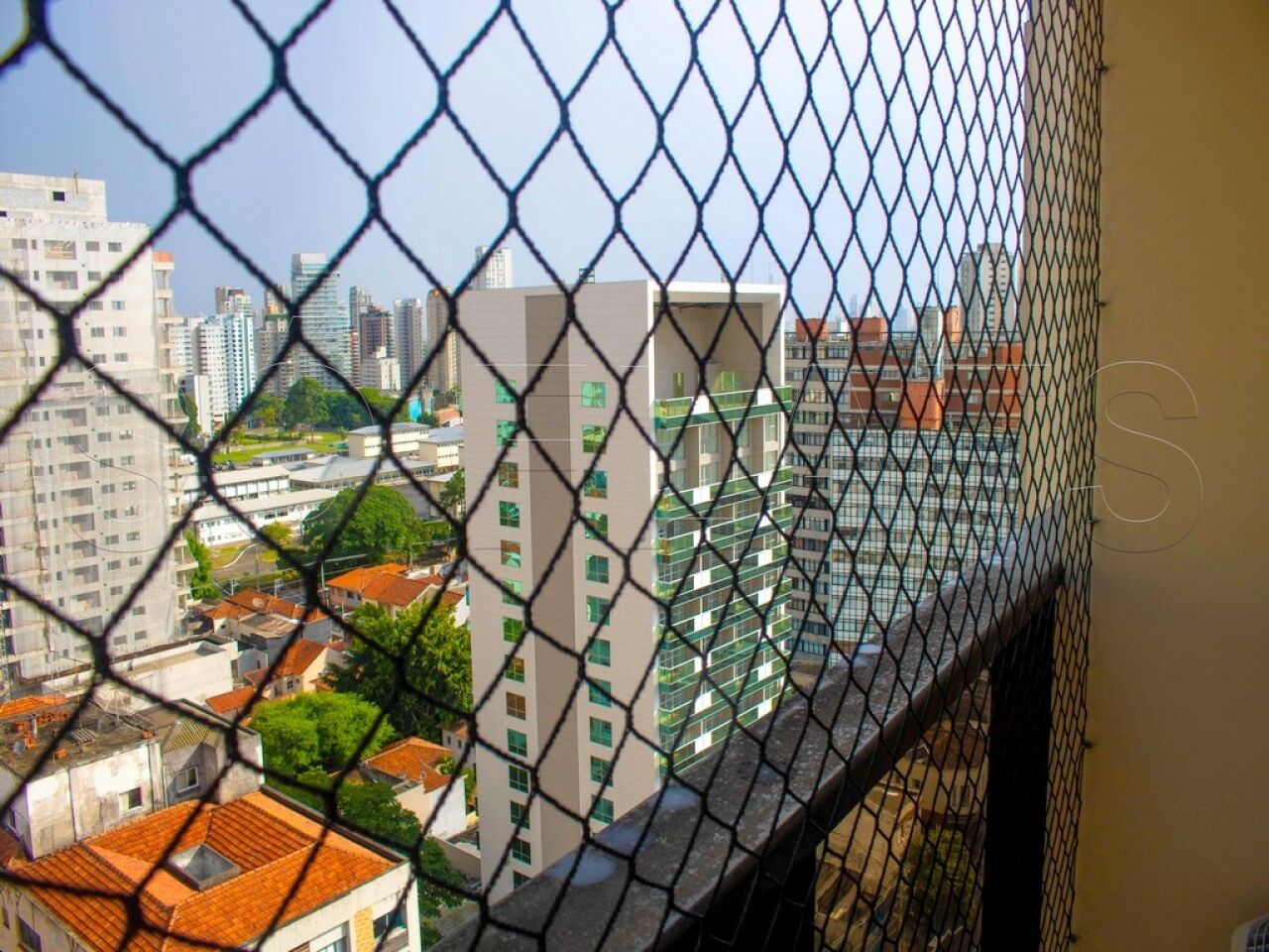 Foto 12