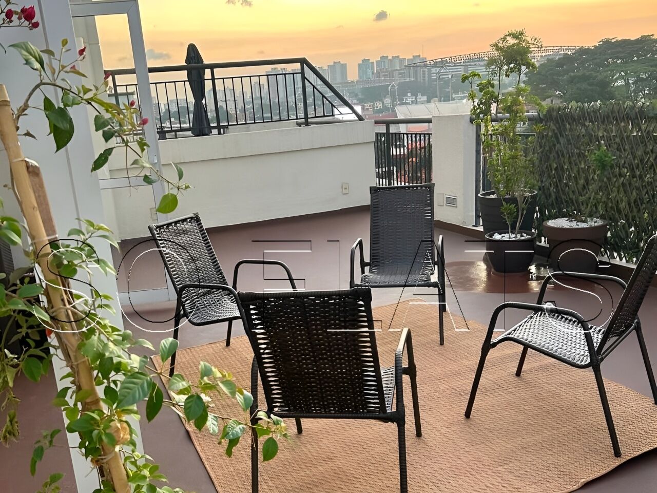 Foto 17