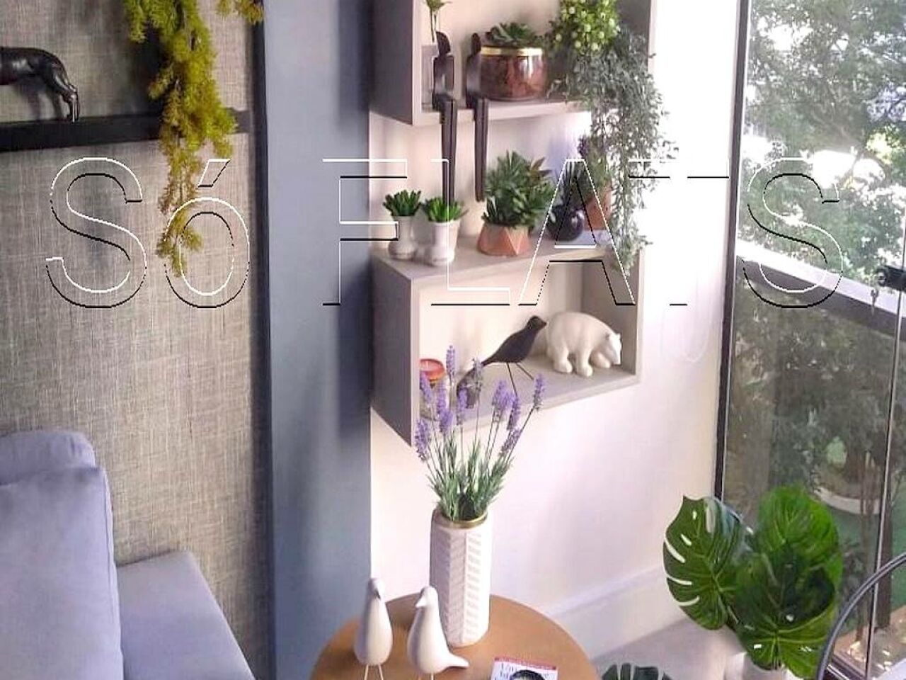 Foto 4