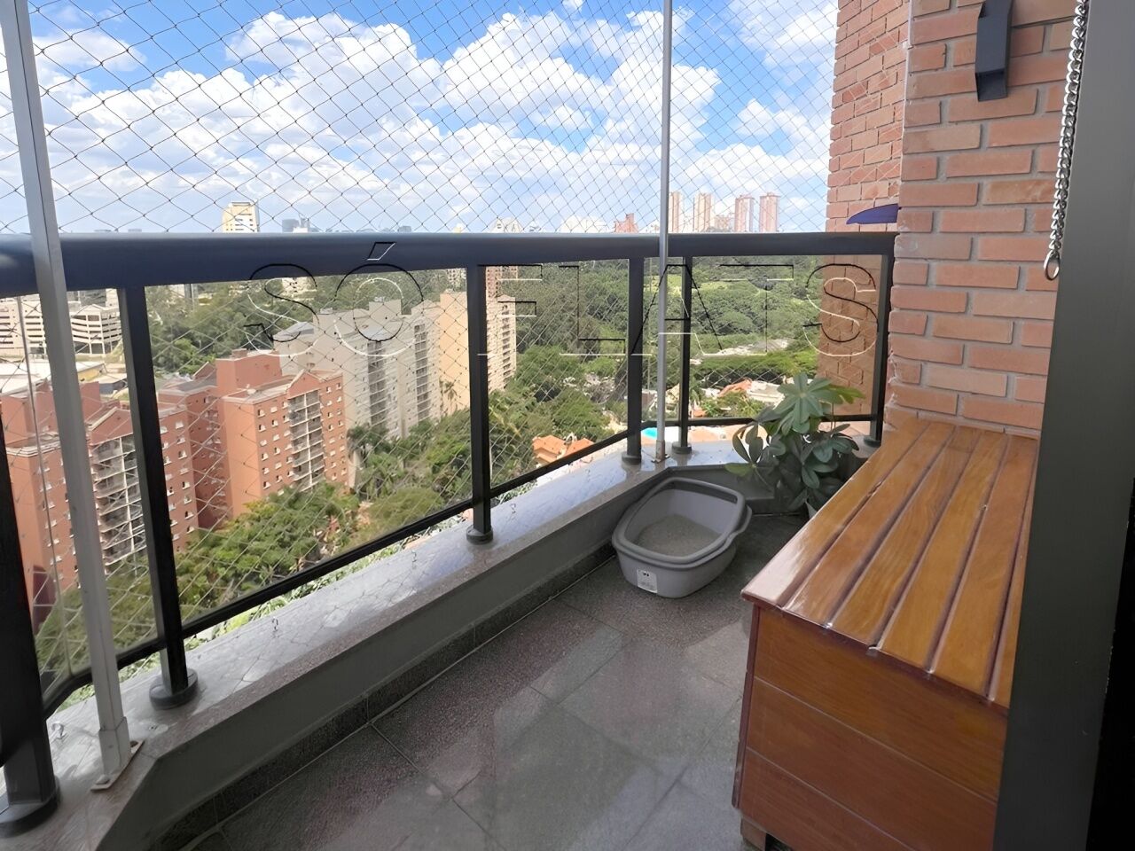 Foto 7