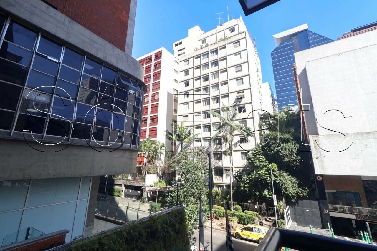 Foto 12