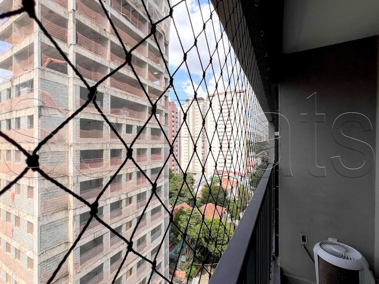Foto 8