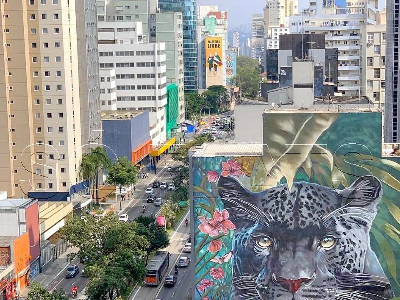 Foto 11
