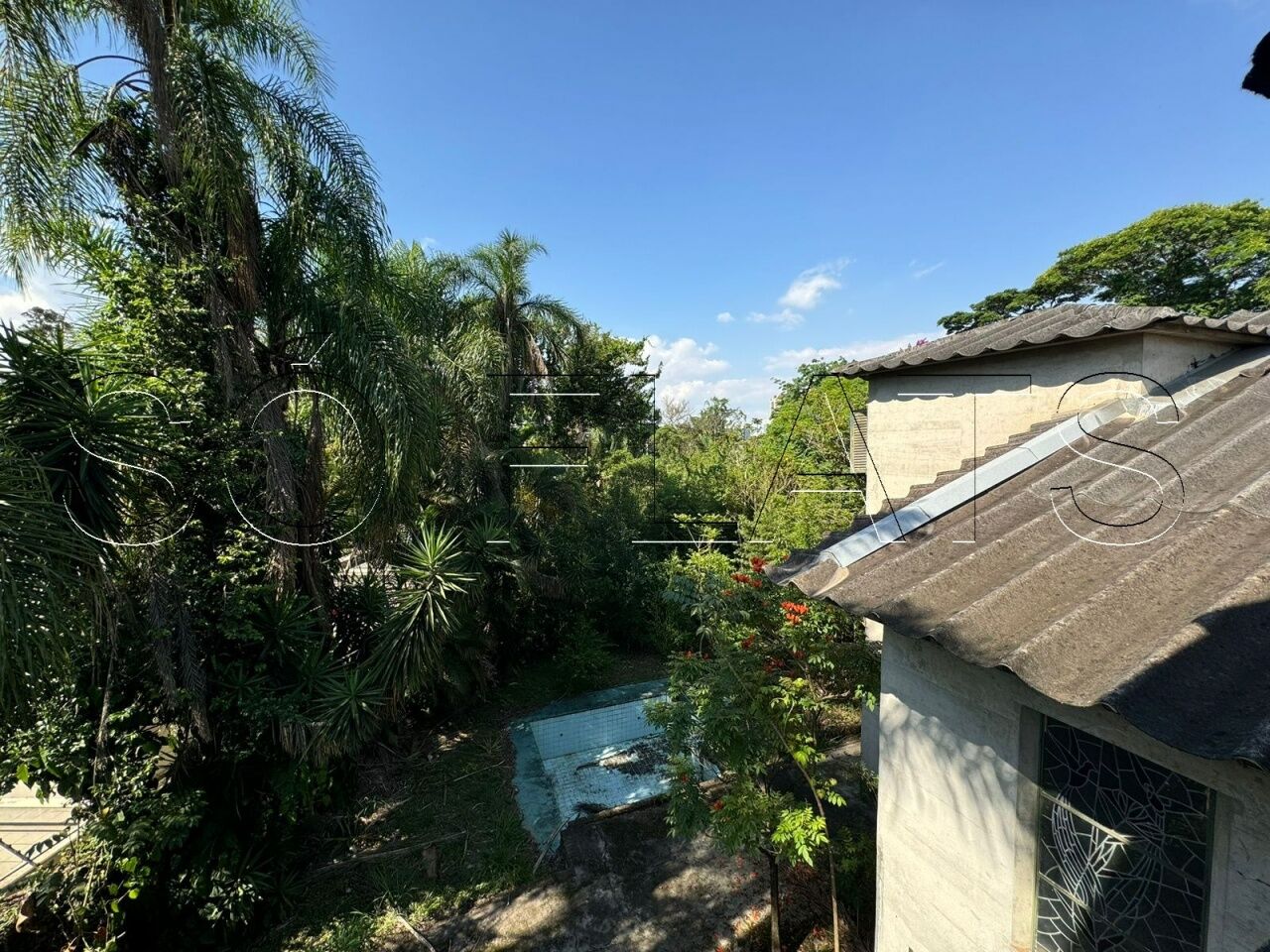 Foto 21