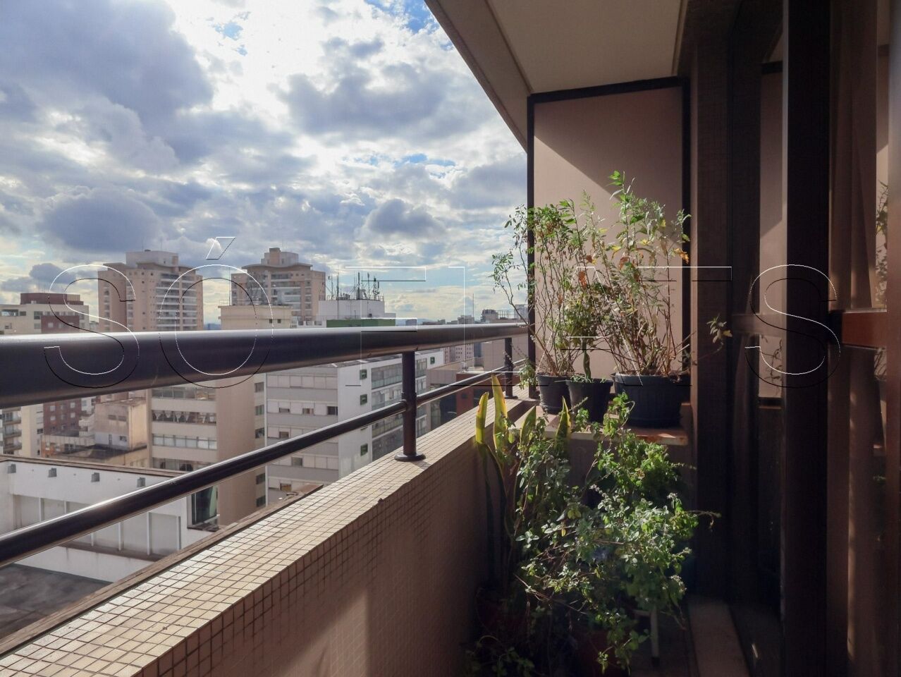 Foto 20