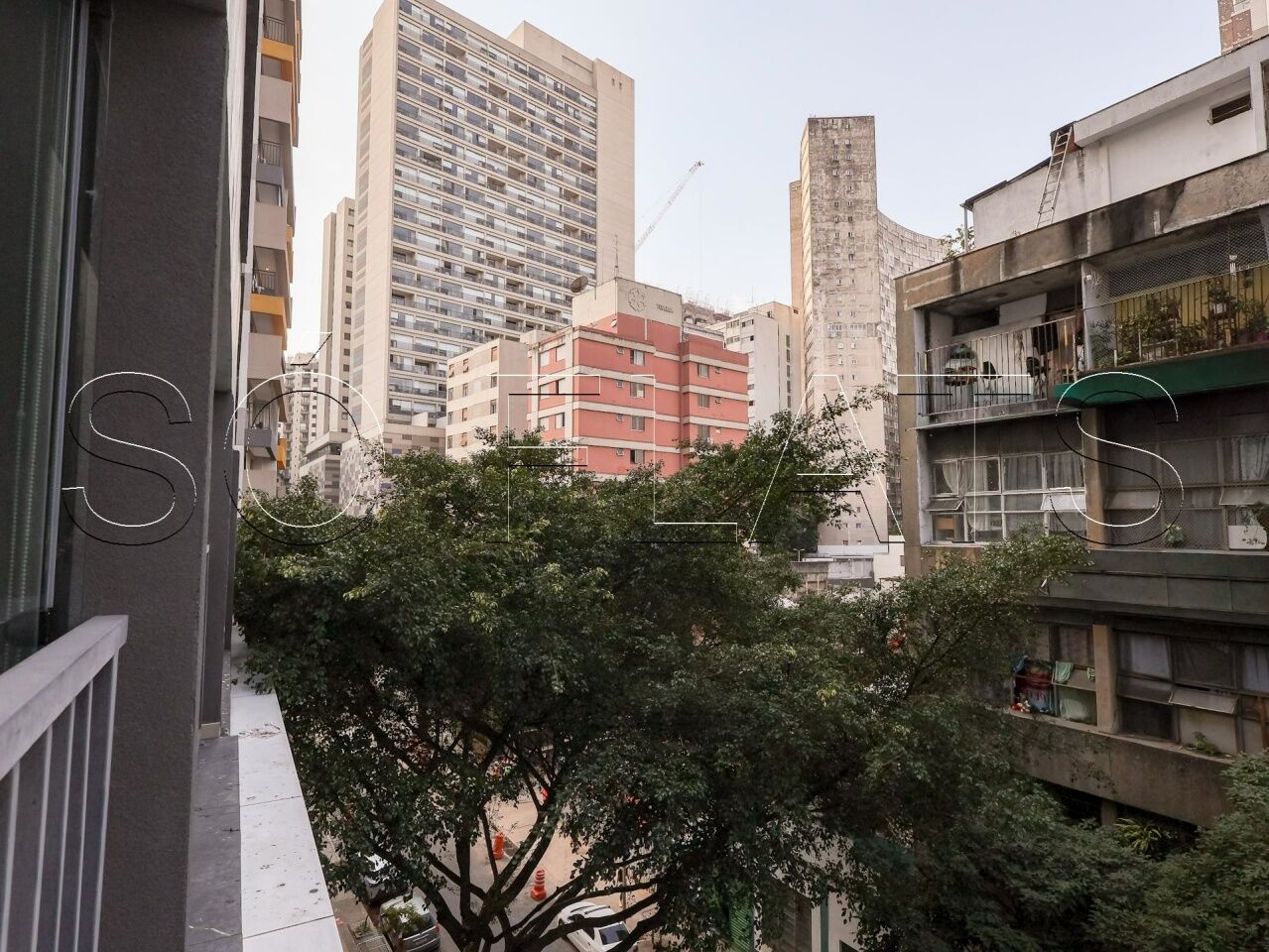 Foto 8