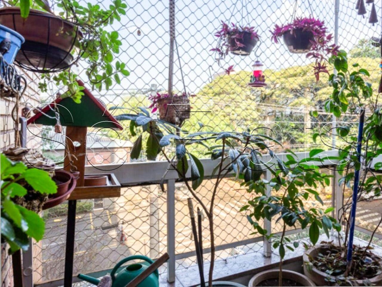 Foto 7