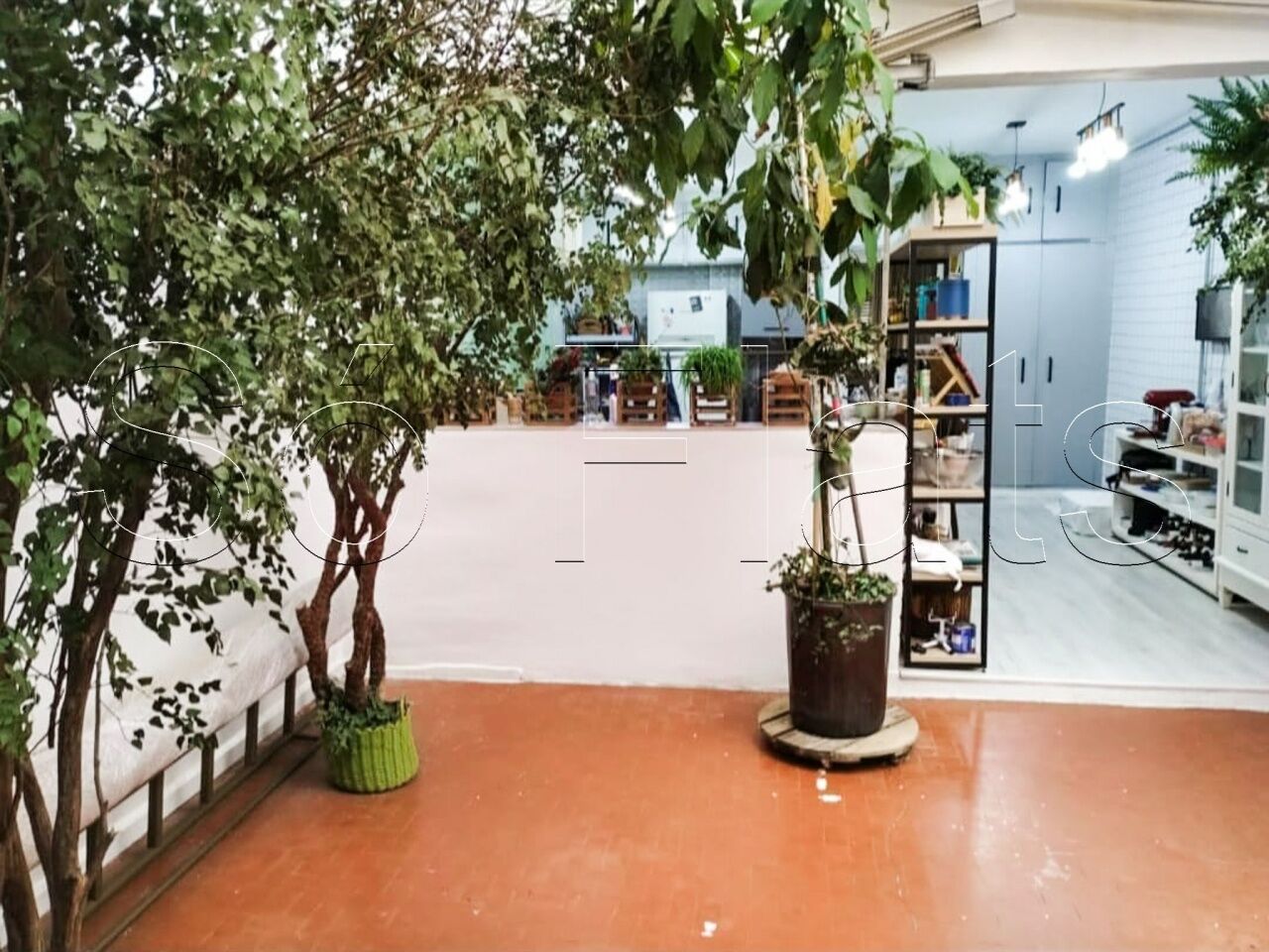 Foto 7