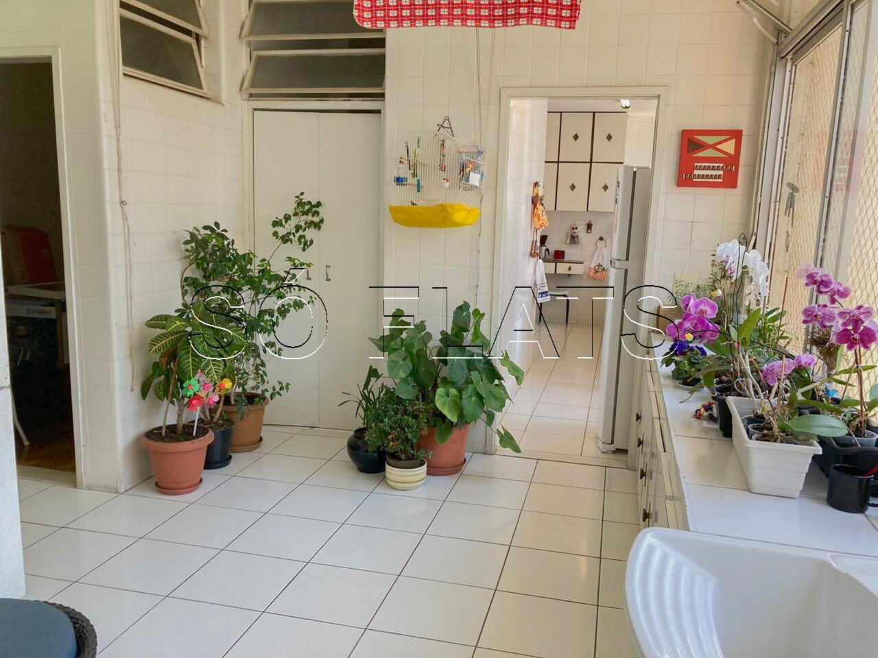 Foto 12