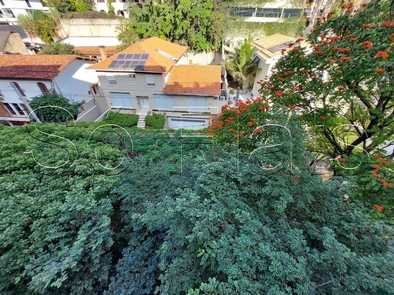 Foto 11
