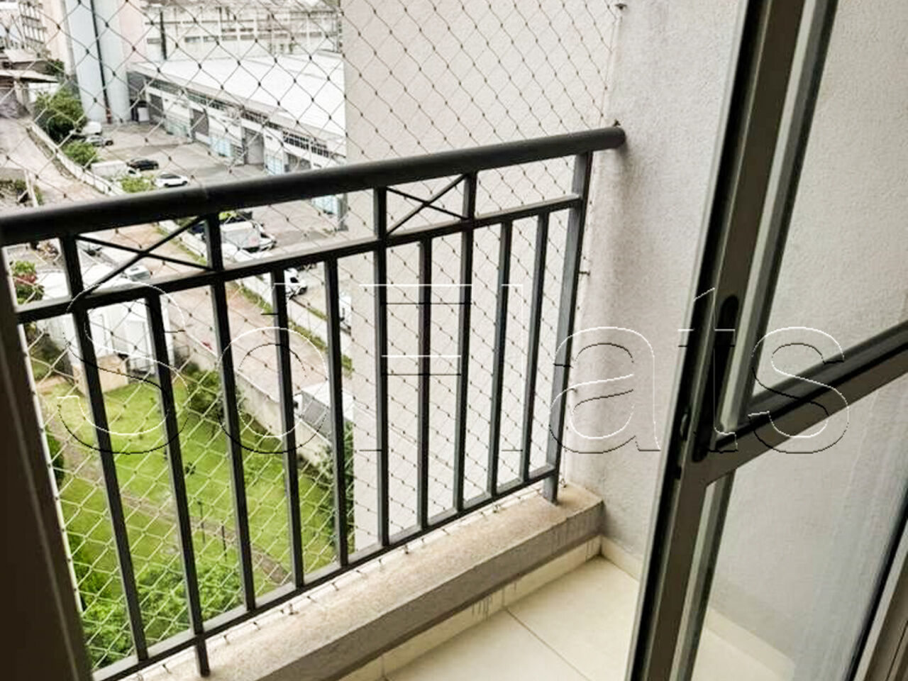 Foto 1
