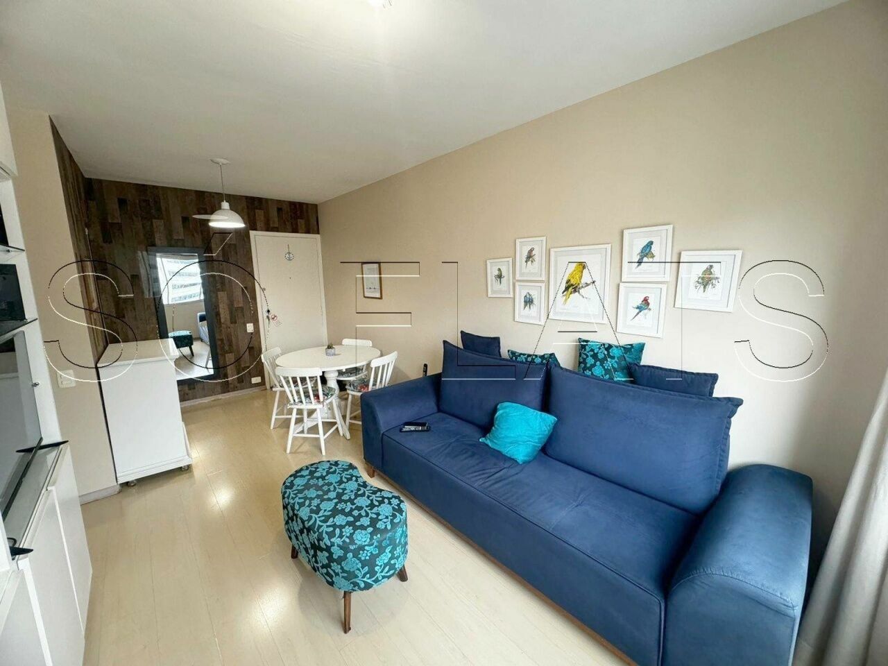 Foto 5