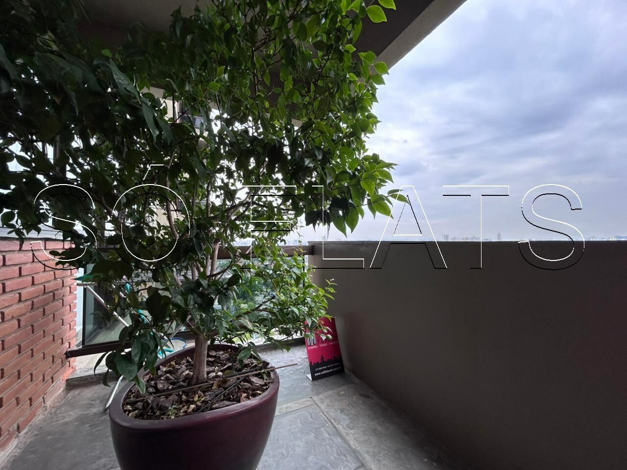 Foto 16