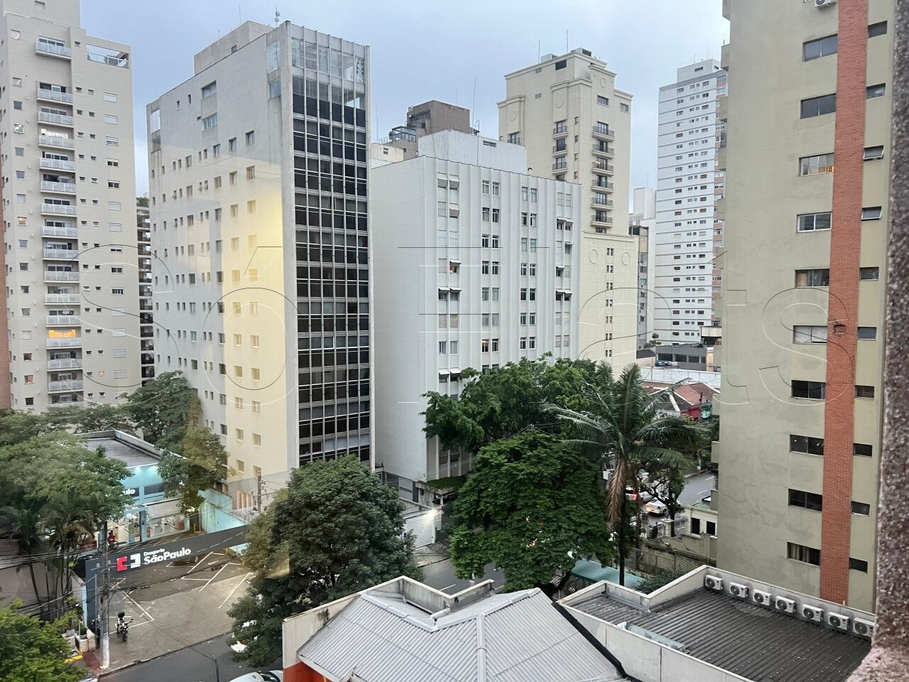 Foto 6