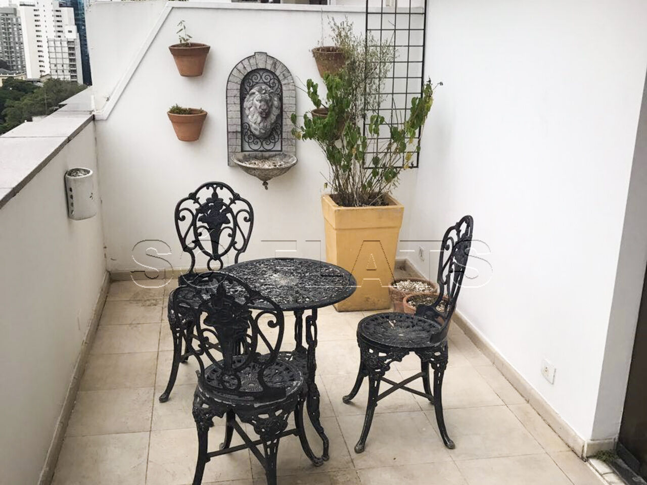 Foto 5