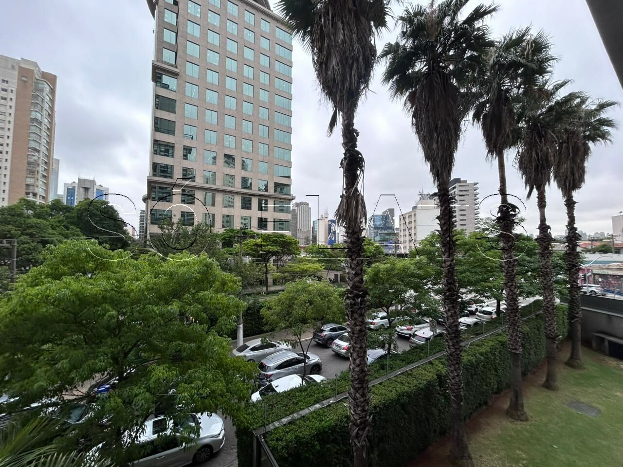 Foto 7