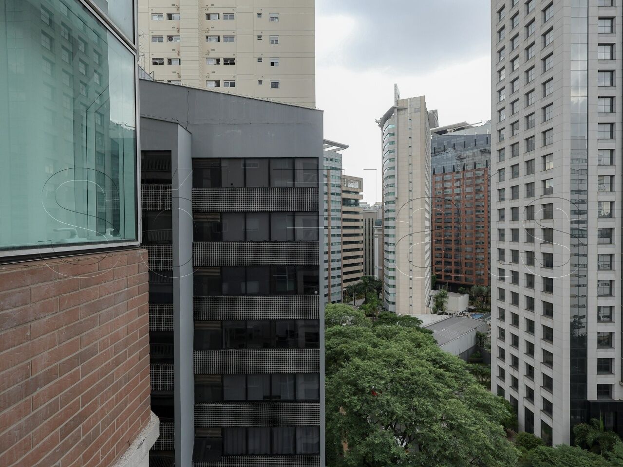 Foto 11