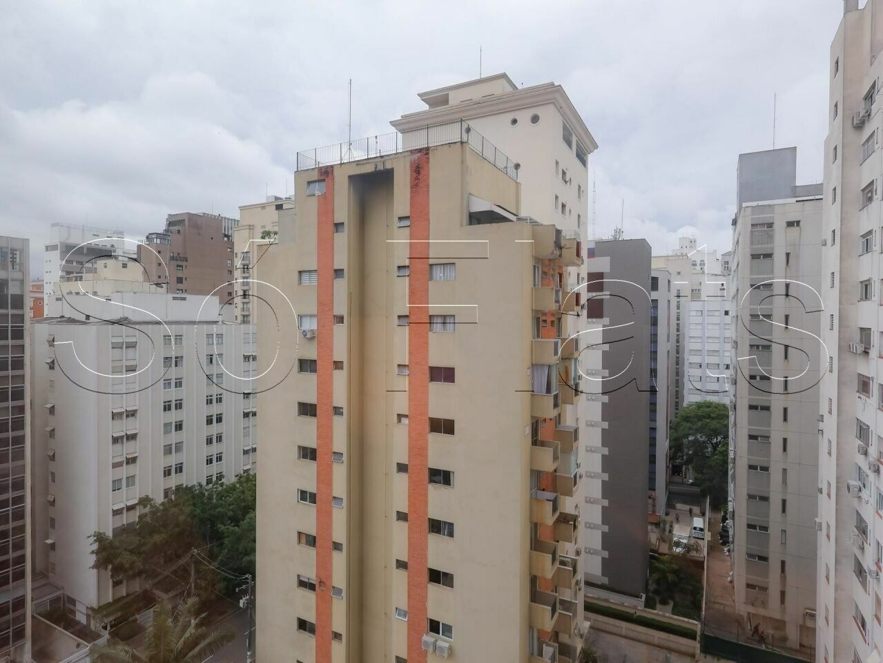 Foto 8