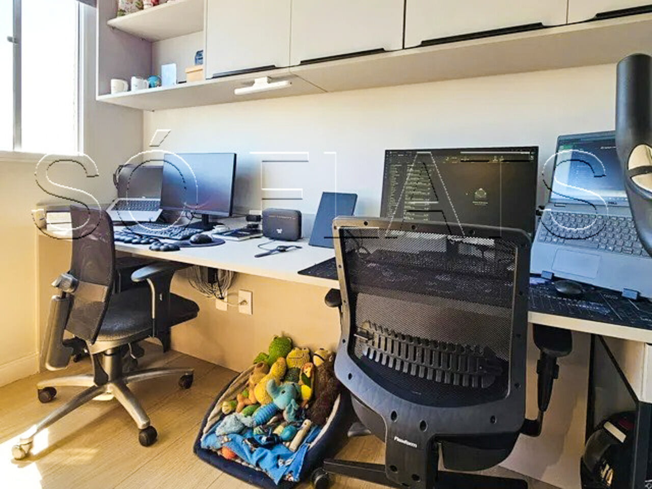 Foto 7