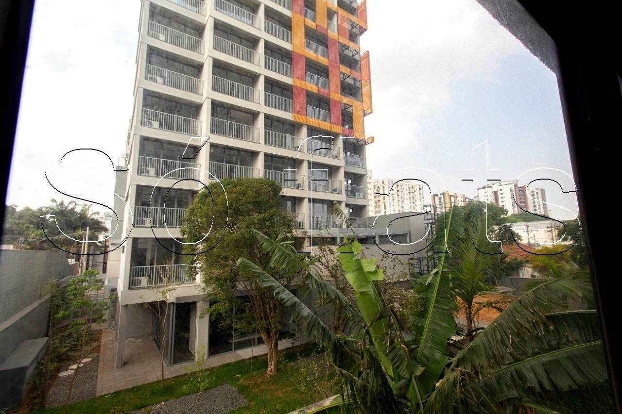 Foto 7