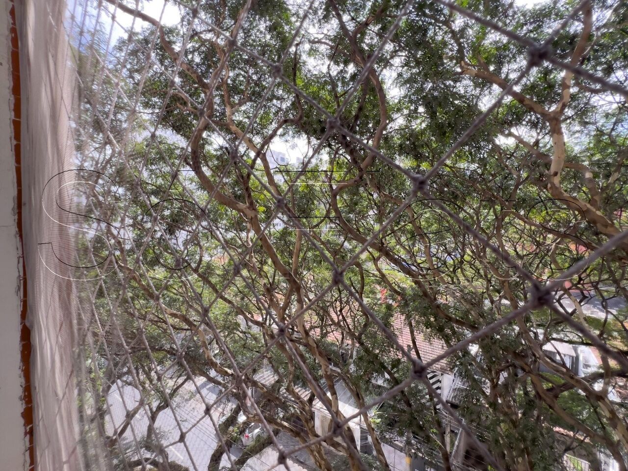 Foto 32