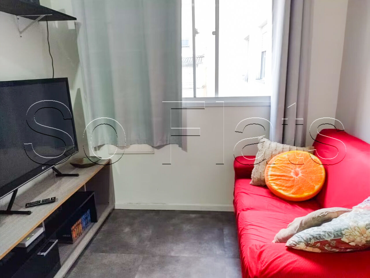Foto 1
